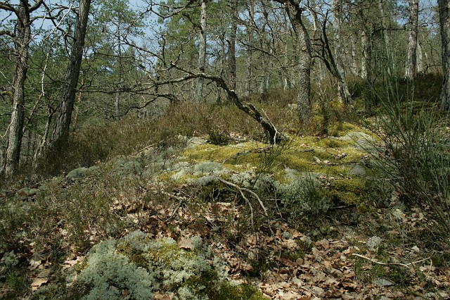 Burgenwanderung 2010 Bild 12